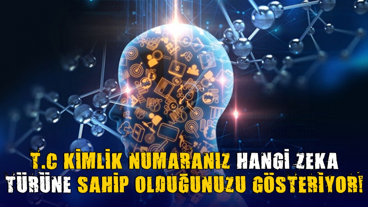 t c kimlik numaraniz nasil ezberliyorsunuz t c kimlik numaranizi ezberleme sekline gore hangi zeka turune sahipsiniz haberfokus