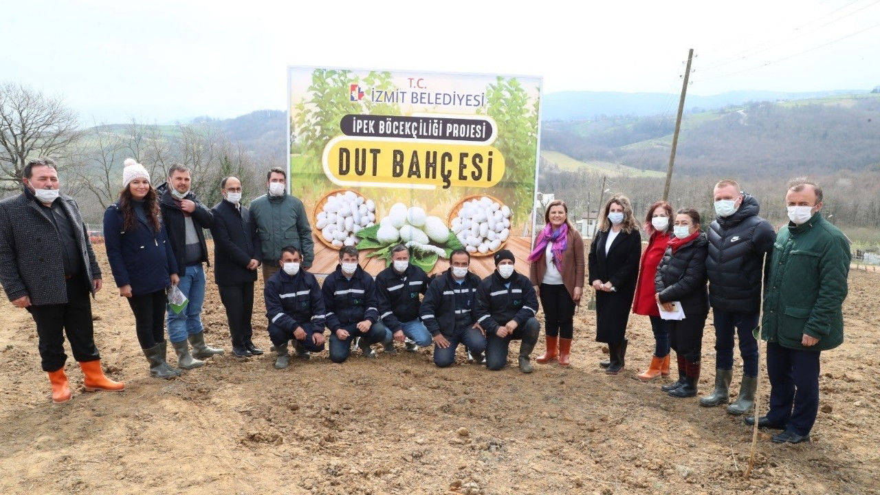 İpek böcekçiliği canlanacak