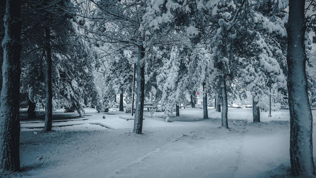 Sakarya beyaz örtüyle güzelleşti