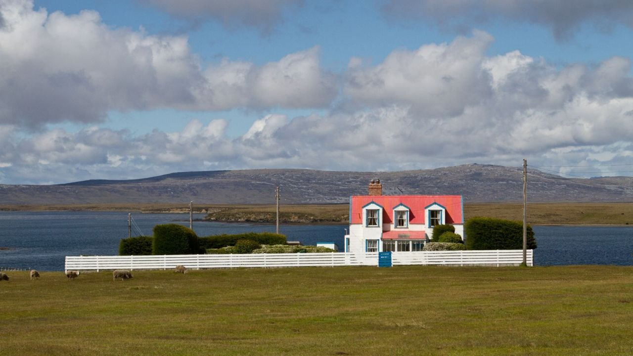 Muhteşem doğasıyla: Falkland Adaları - Sayfa 2