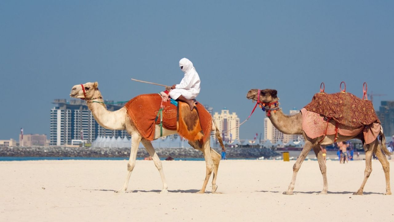 Dubai'ye bir de böyle bakın - Sayfa 6