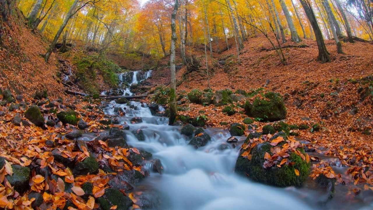 Yedigöller dört mevsim çok güzel - Sayfa 17