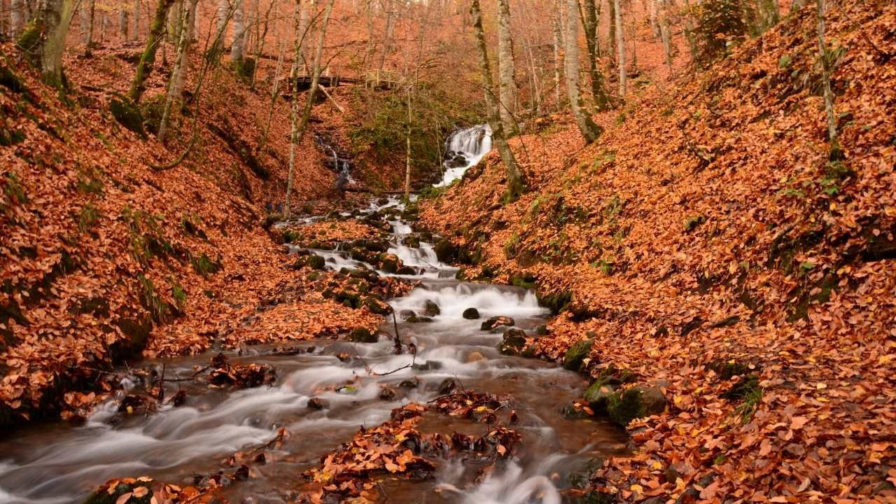 Yedigöller dört mevsim çok güzel - Sayfa 5