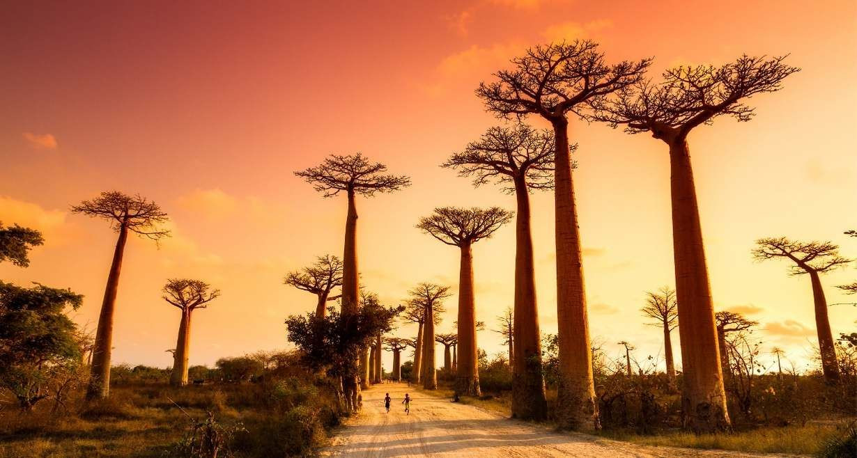 Dünyanın en renkli ülkesi: Madagaskar - Sayfa 2