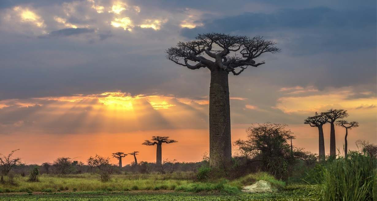 Dünyanın en renkli ülkesi: Madagaskar - Sayfa 5