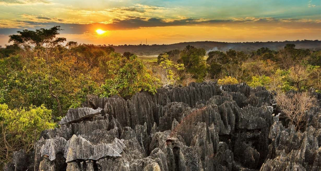 Dünyanın en renkli ülkesi: Madagaskar - Sayfa 8