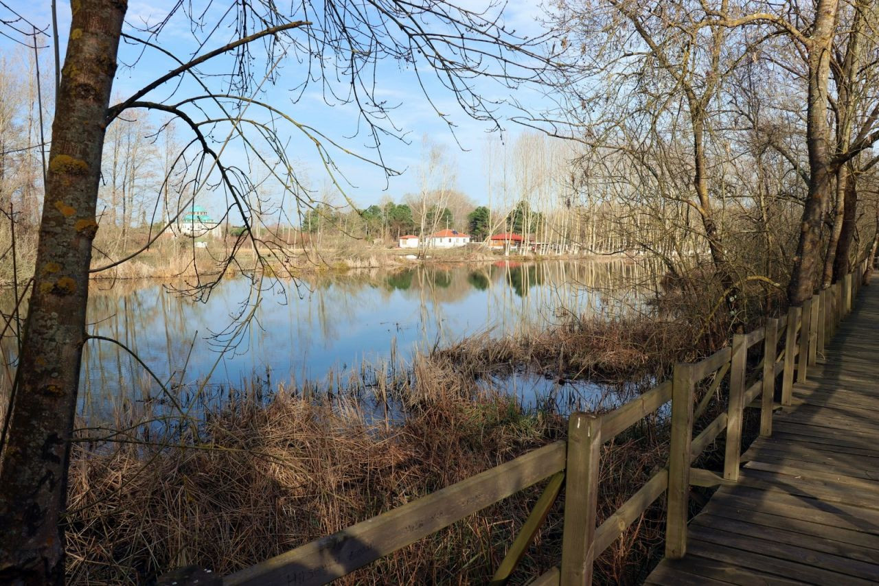 Acarlar Longozu hayran bırakıyor - Sayfa 7