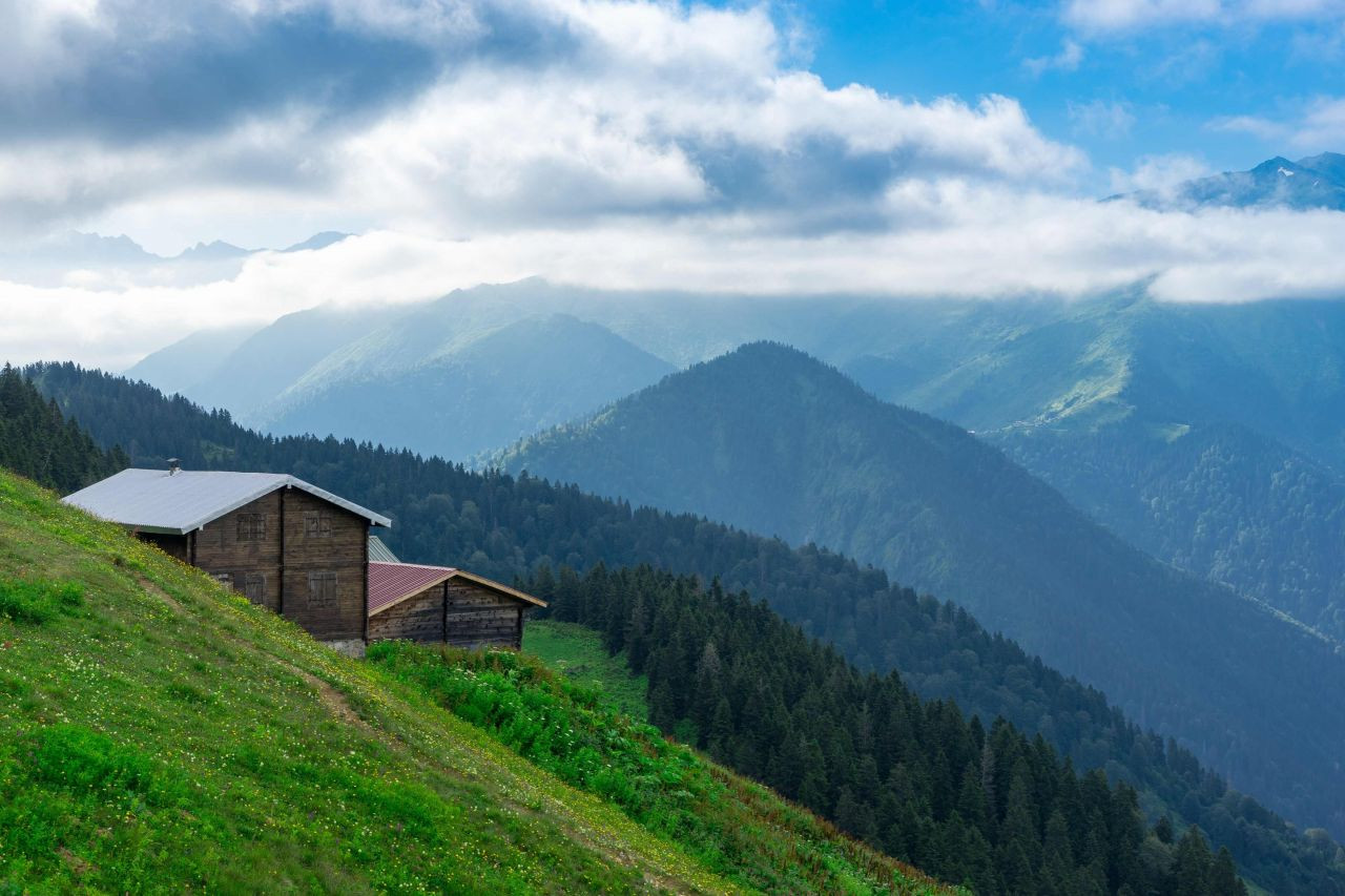 Yeşile doyabileceğiniz doğa harikası, Pokut Yaylası - Sayfa 5