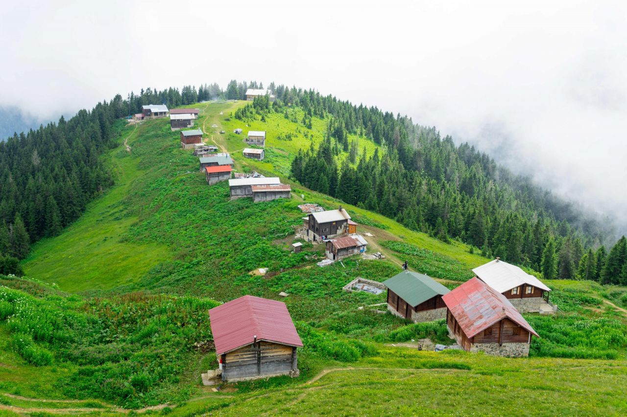 Yeşile doyabileceğiniz doğa harikası, Pokut Yaylası - Sayfa 6