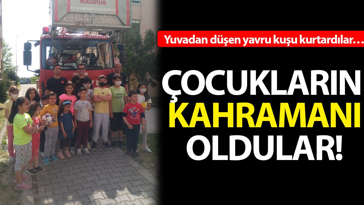 Yuvadan düşen yavruyu kurtarınca çocukların kahramanı oldular