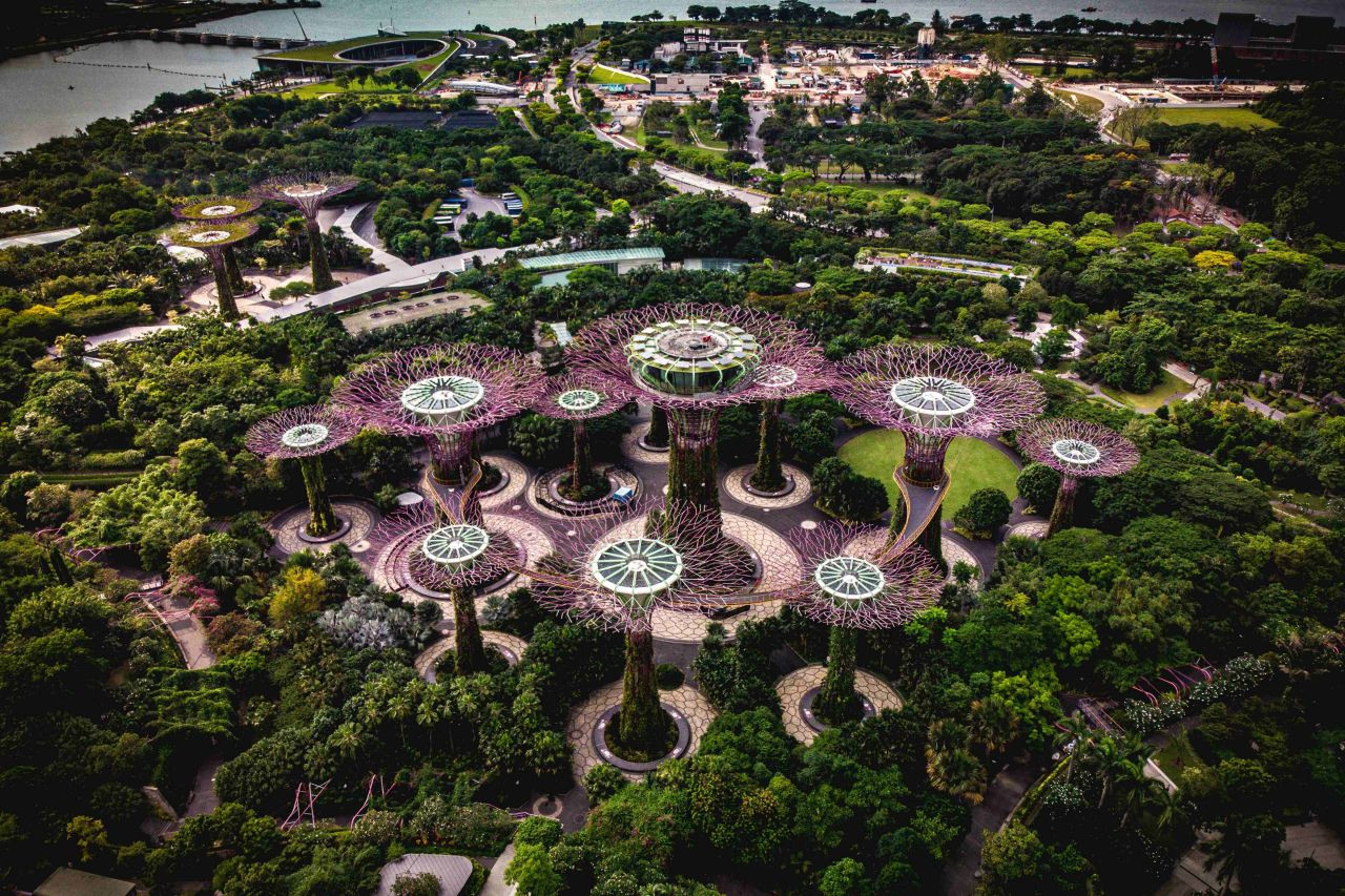 Singapur'un Masalsı Botanik Bahçeleri: Gardens By The Bay - Sayfa 9