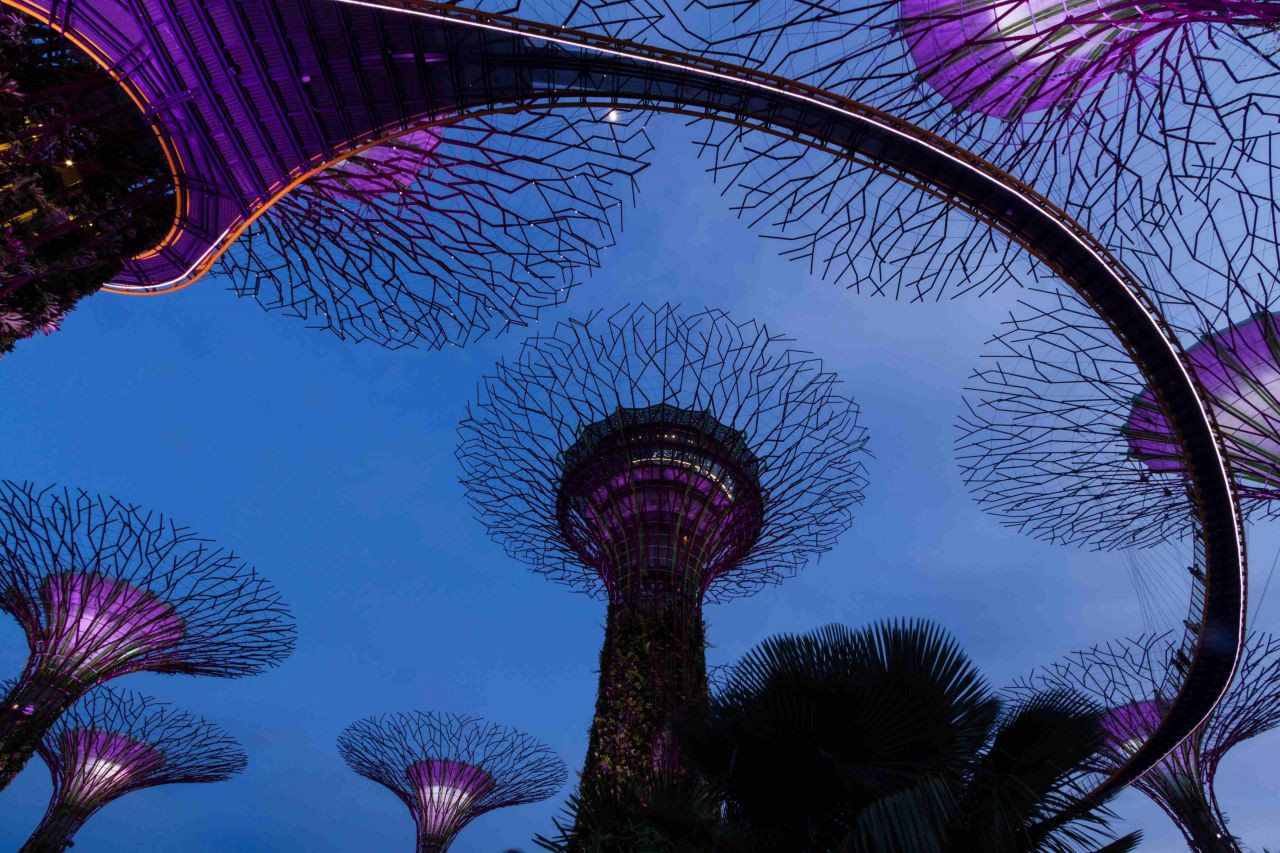 Singapur'un Masalsı Botanik Bahçeleri: Gardens By The Bay - Sayfa 10