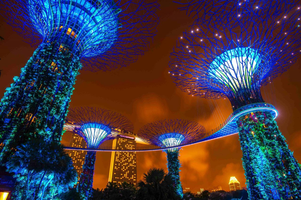 Singapur'un Masalsı Botanik Bahçeleri: Gardens By The Bay - Sayfa 11