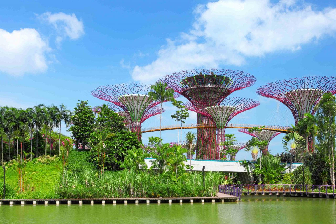 Singapur'un Masalsı Botanik Bahçeleri: Gardens By The Bay - Sayfa 16