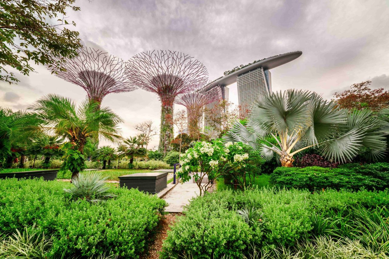 Singapur'un Masalsı Botanik Bahçeleri: Gardens By The Bay - Sayfa 2