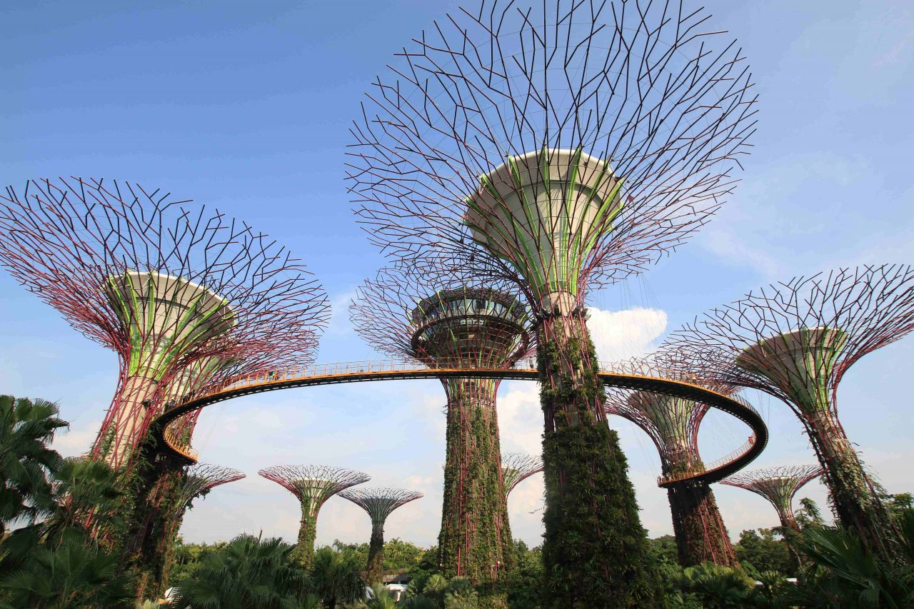 Singapur'un Masalsı Botanik Bahçeleri: Gardens By The Bay - Sayfa 7