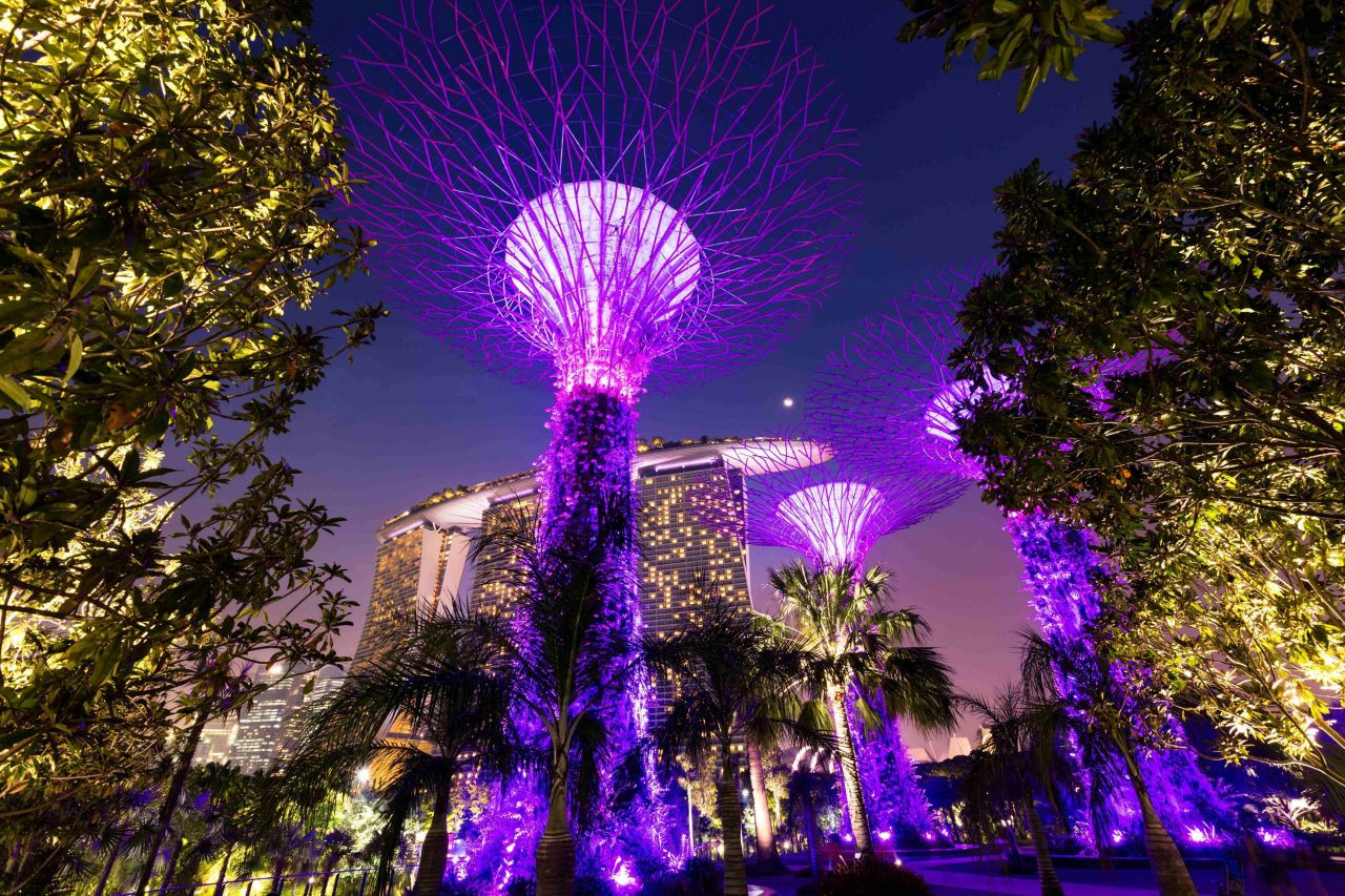 Singapur'un Masalsı Botanik Bahçeleri: Gardens By The Bay - Sayfa 8