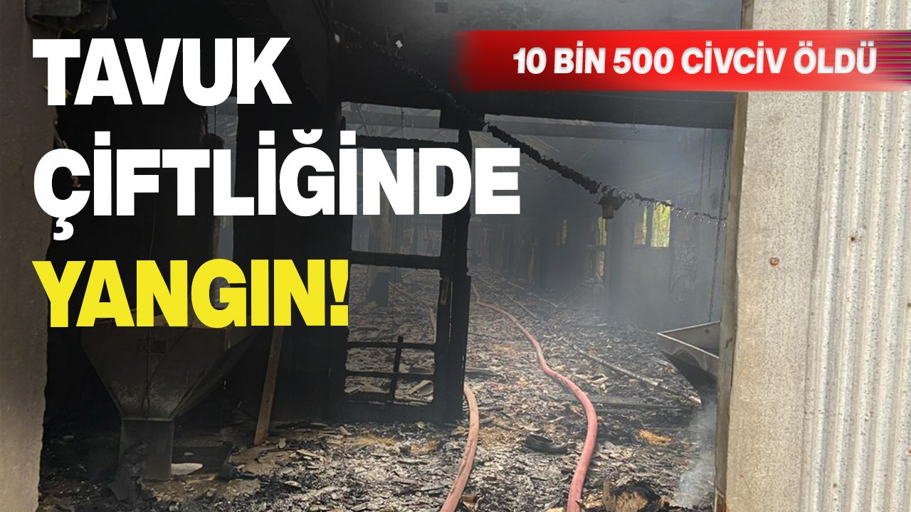 Tavuk çiftliğinde yangın; 10 bin 500 civciv öldü