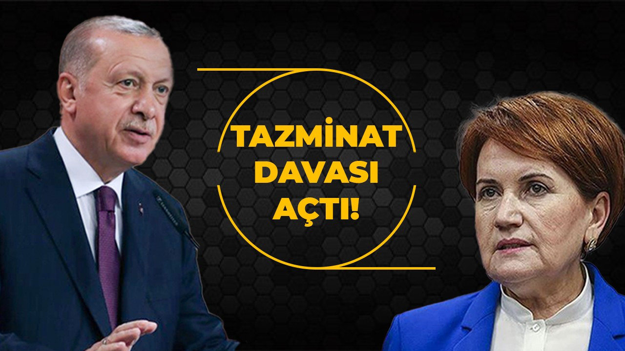 Cumhurbaşkanı Erdoğan'dan Akşener'e dava