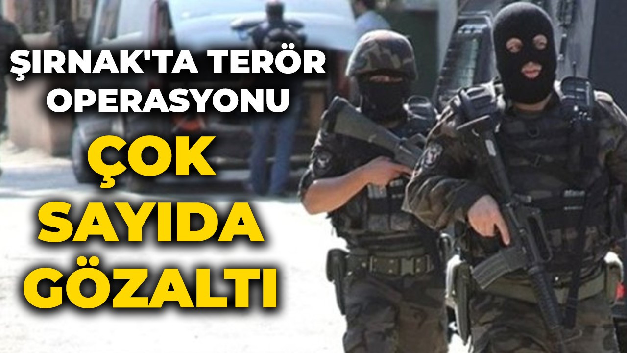 Şırnak'ta terör operasyonu: 18 gözaltı
