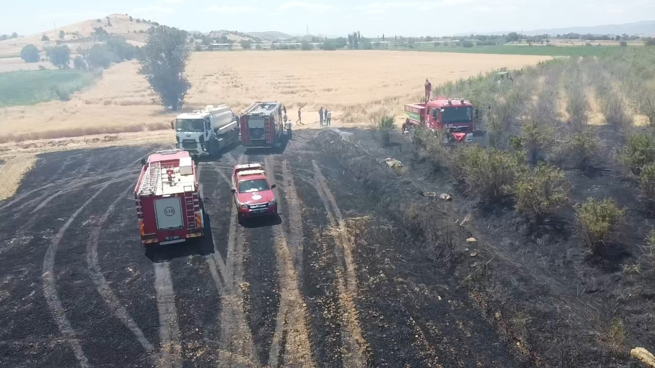 İzmir’de  40 dönüm arazi kül oldu