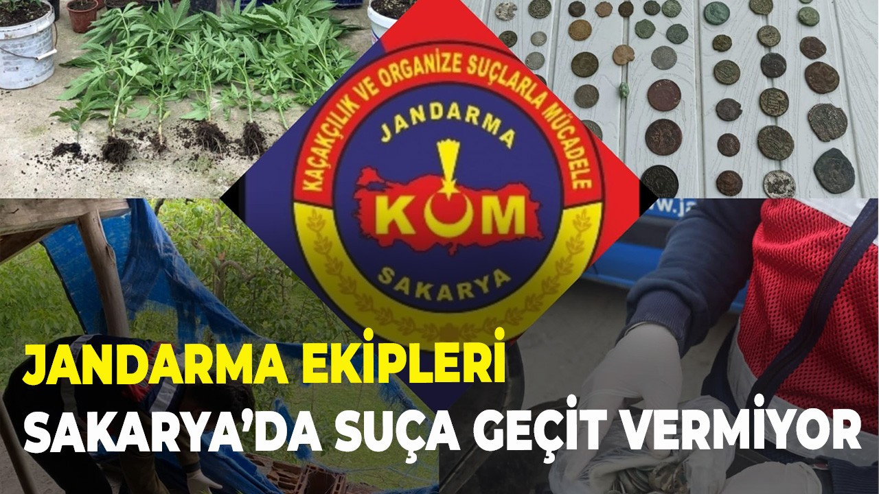 Jandarma ekipleri Sakarya’da suça geçit vermiyor