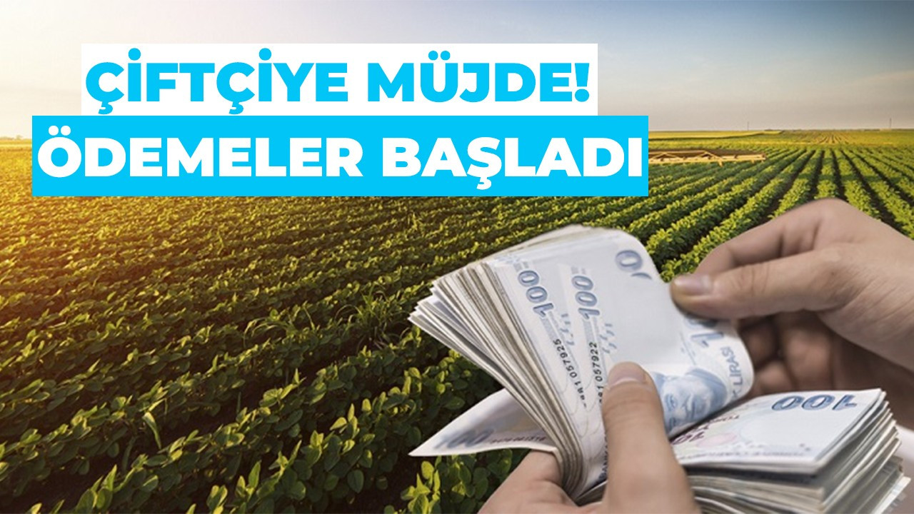 O ödemeler başladı! Çiftçiyi sevindirecek haber