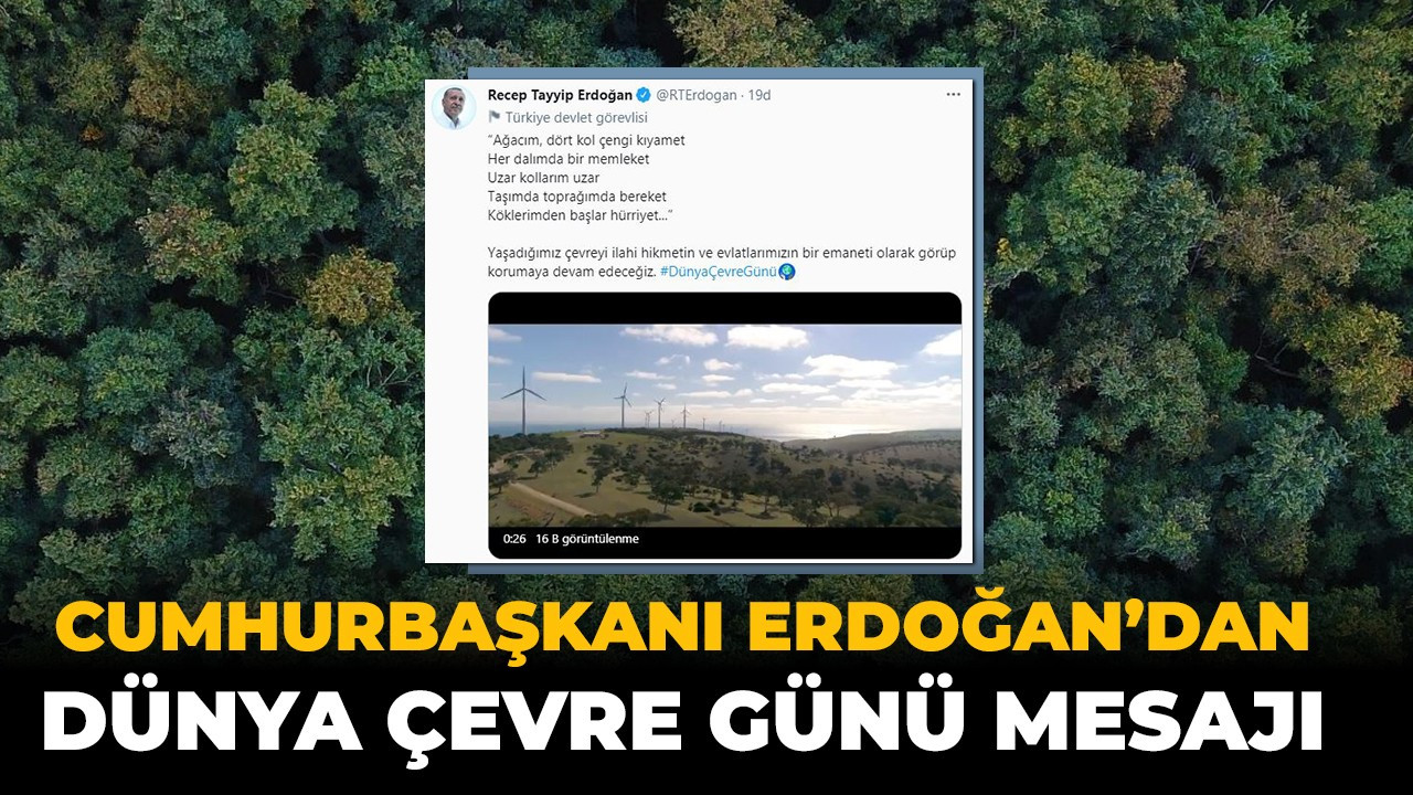 Cumhurbaşkanı Erdoğan’dan 5 Haziran Dünya Çevre Günü mesajı