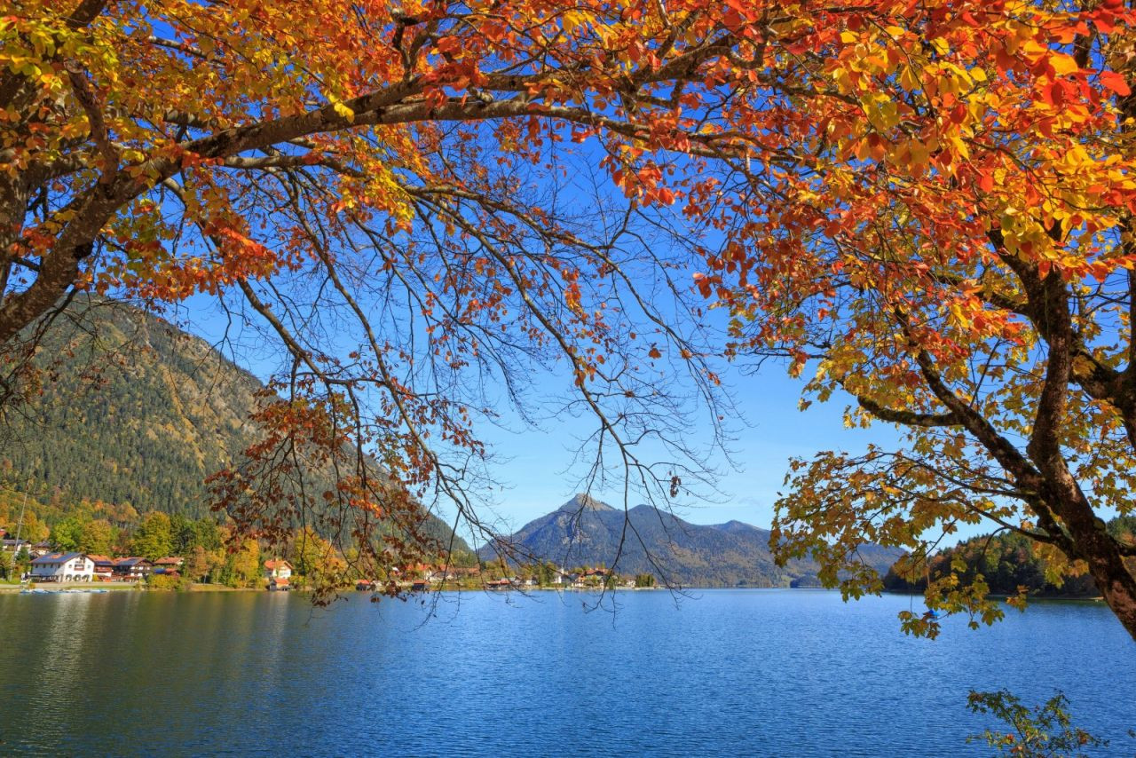 Almanya'nın en güzel gölü Walchensee büyülüyor - Sayfa 8