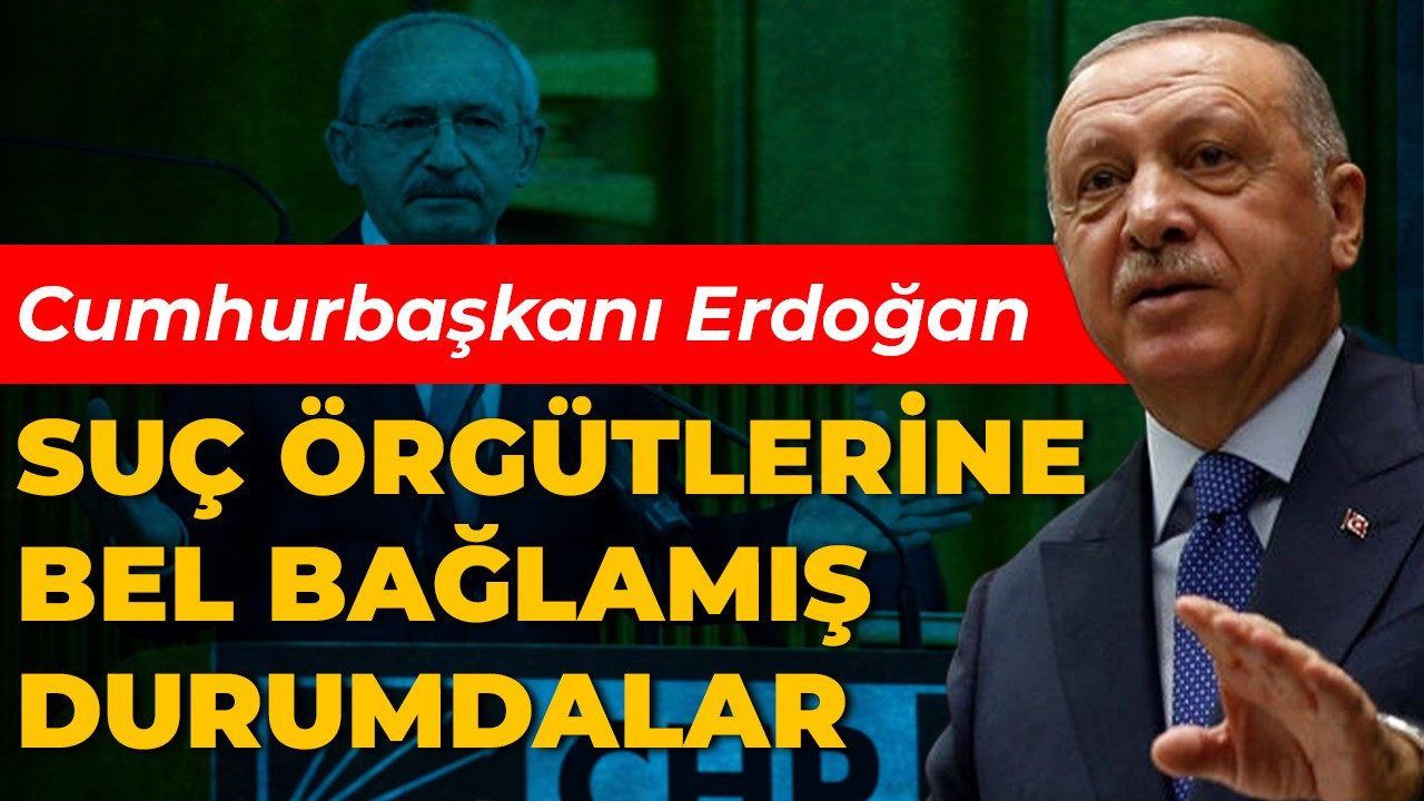 Cumhurbaşkanı Erdoğan: ''Suç örgütlerine bel bağlamış durumdalar''