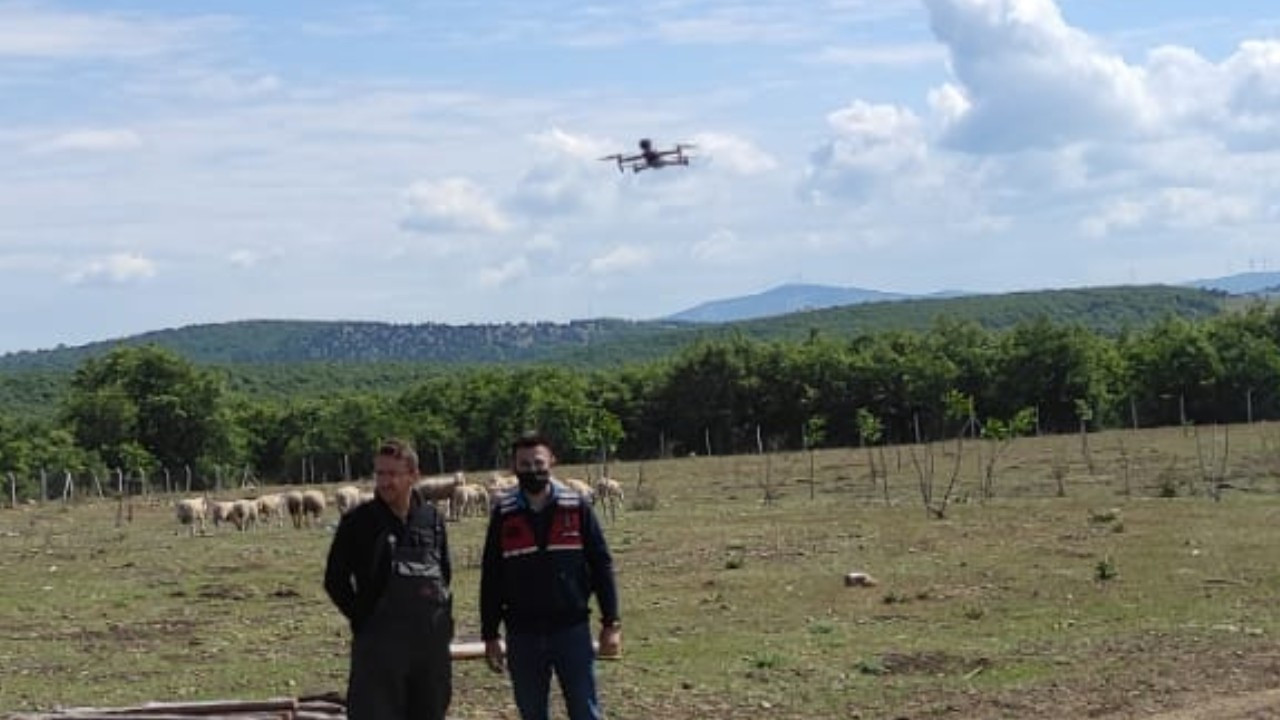 Kaybolan koyunlar drone ile bulundu