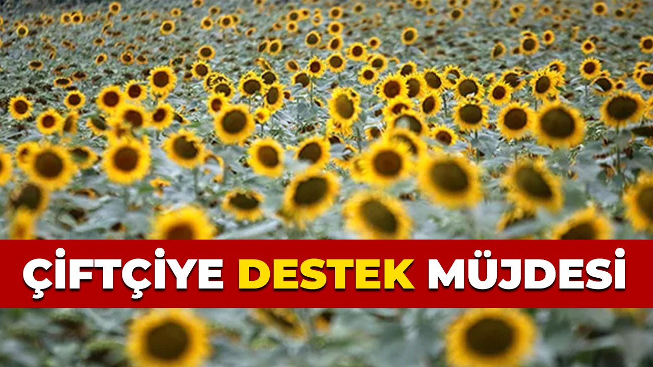 Çiftçiye destek müjdesi