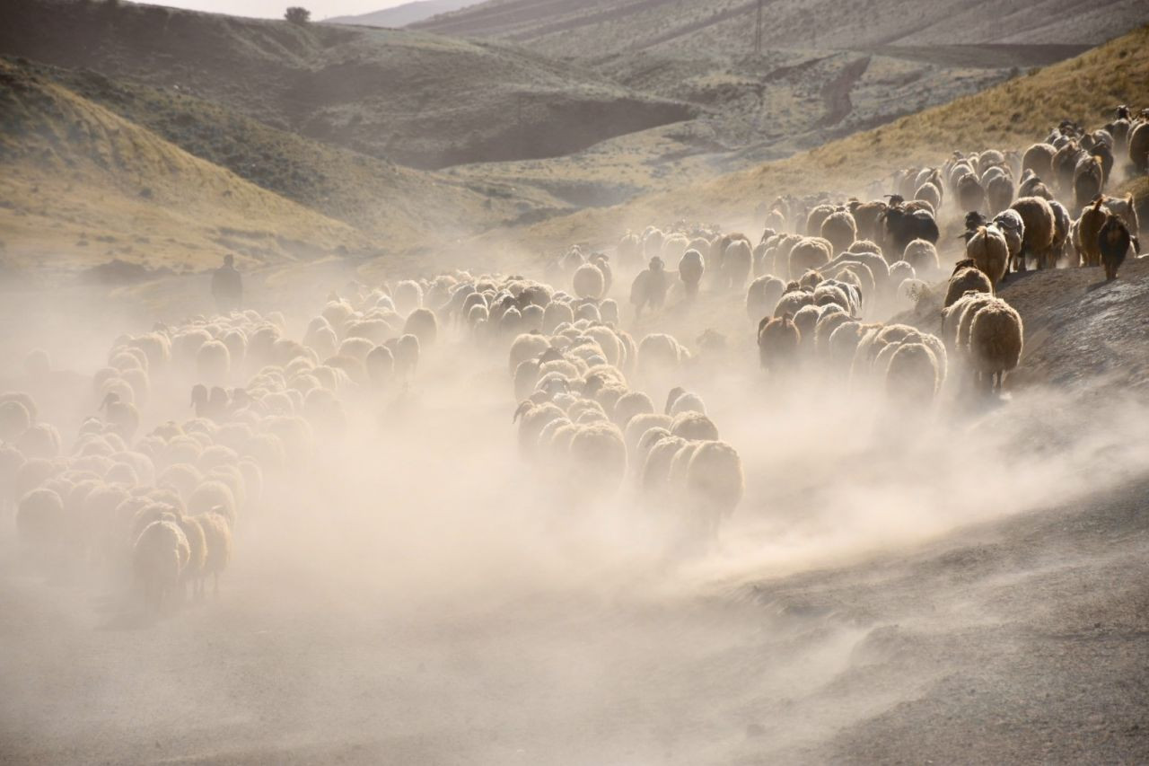 Nemrut Dağı eteklerine tozlu yolculuk - Sayfa 14