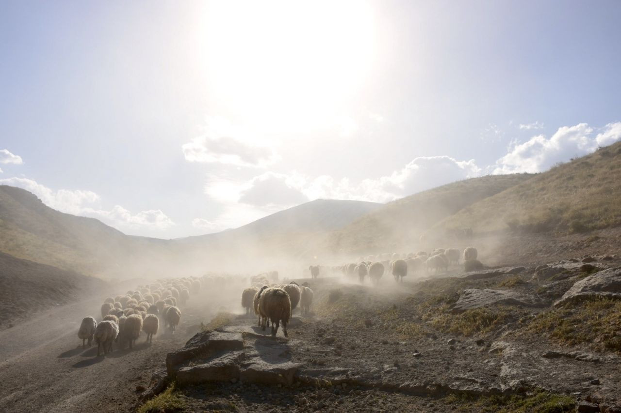 Nemrut Dağı eteklerine tozlu yolculuk - Sayfa 17