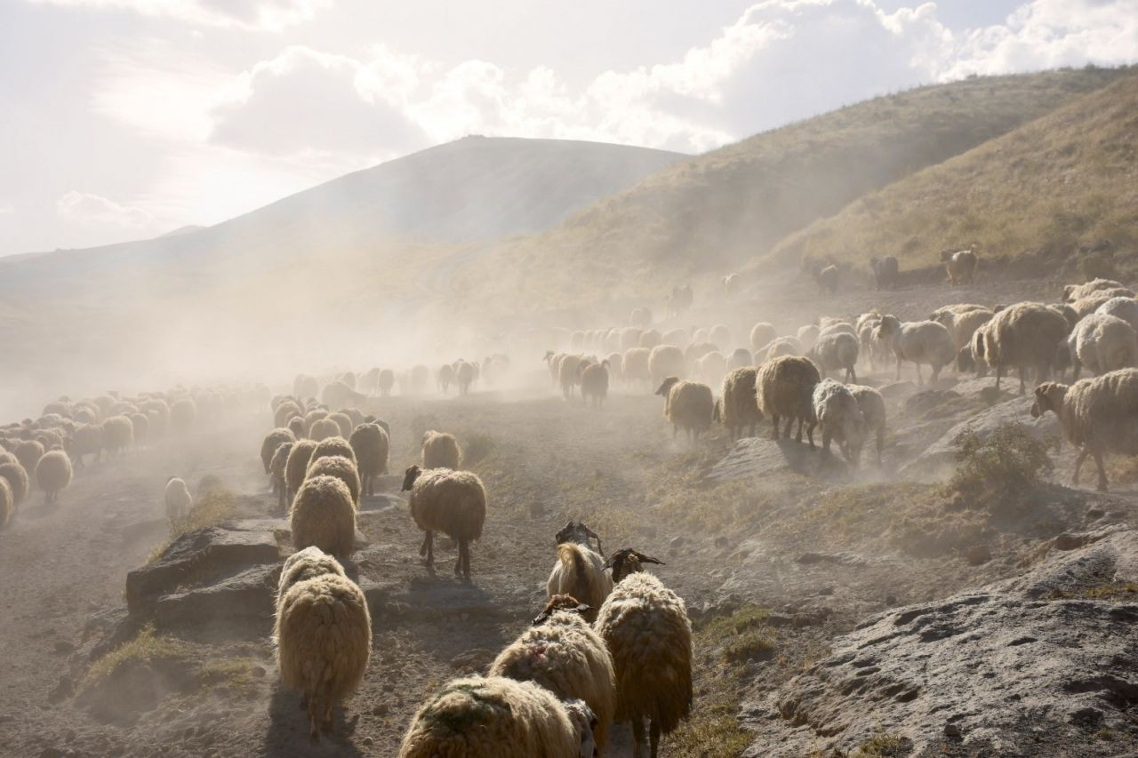 Nemrut Dağı eteklerine tozlu yolculuk - Sayfa 18