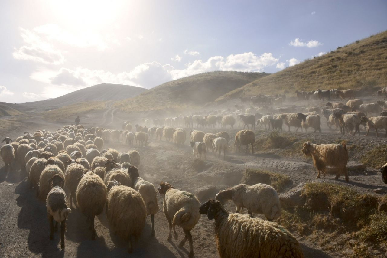 Nemrut Dağı eteklerine tozlu yolculuk - Sayfa 19