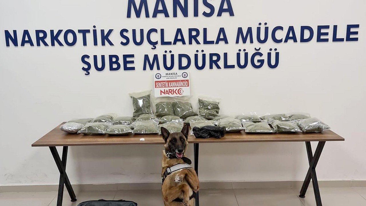 Aferin sana! Narkotik köpeği Kiraz 12 kilo bonzai buldu