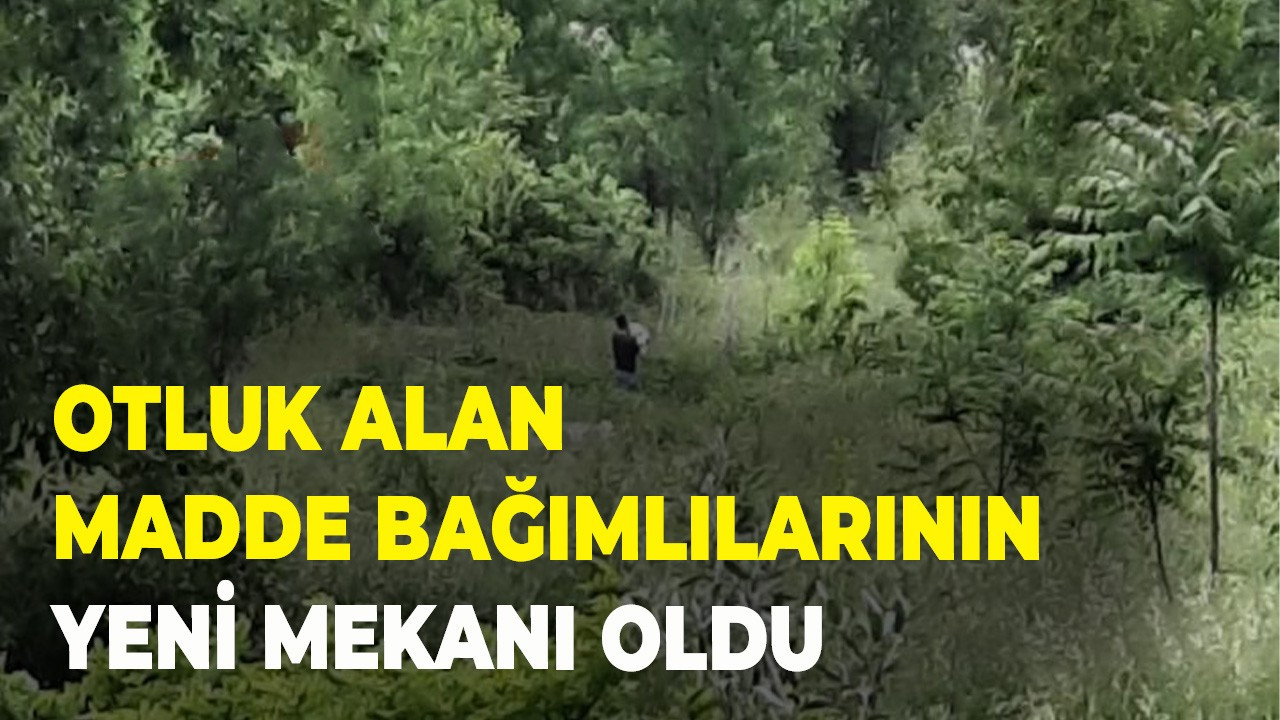 Otluk alan madde bağımlıların yeni mekanı oldu