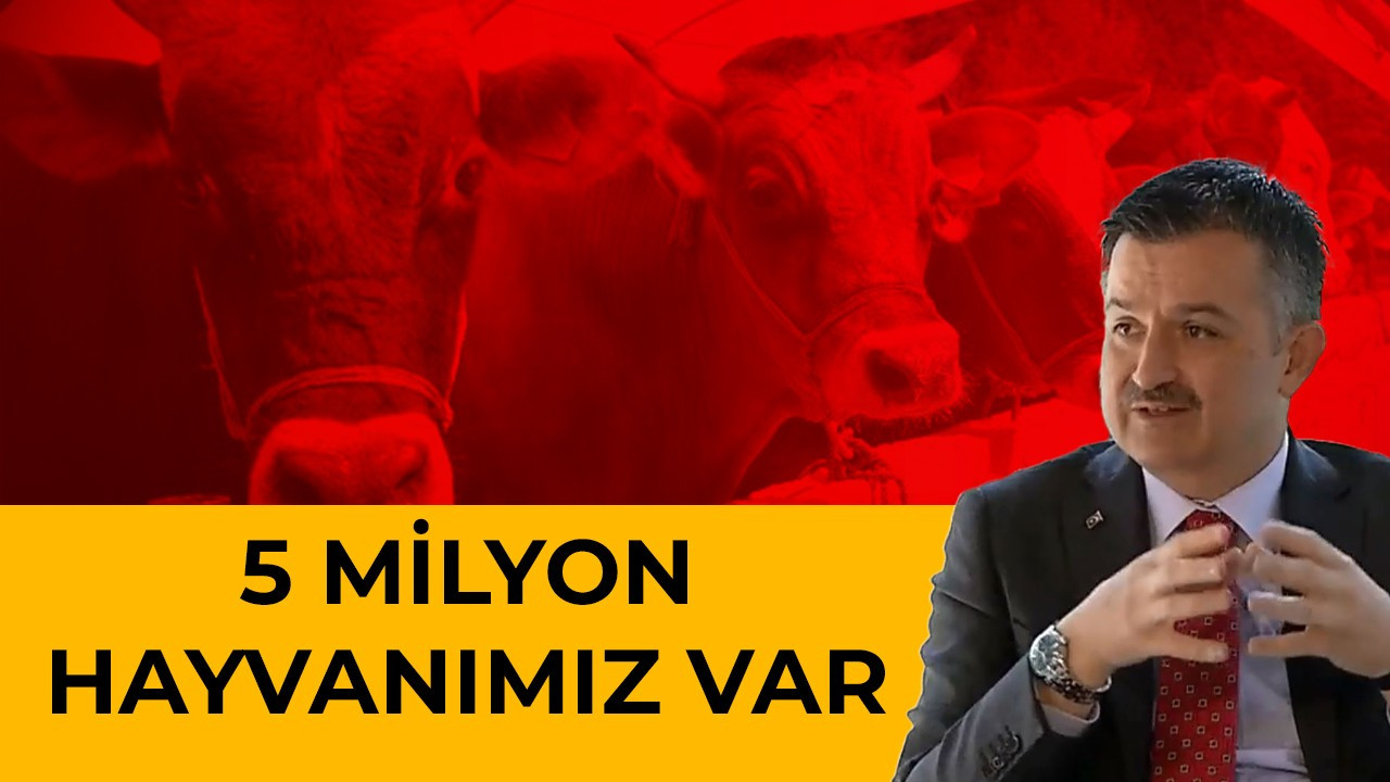 Bakan Pakdemirli: Kurban Bayramı için 5 milyon hayvanımız hazır