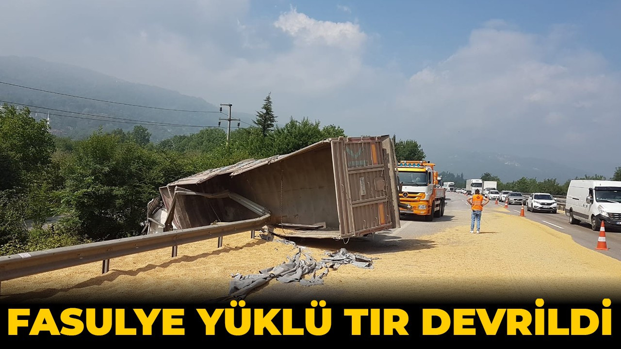 Fasulye yüklü TIR devrildi