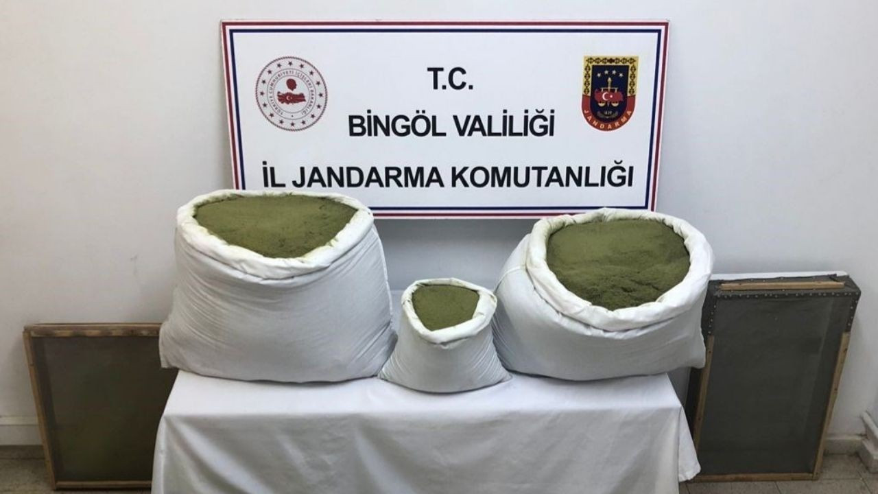 Bingöl'de 101 kilo toz esrar, 2 bin kök kenevir ele geçirildi