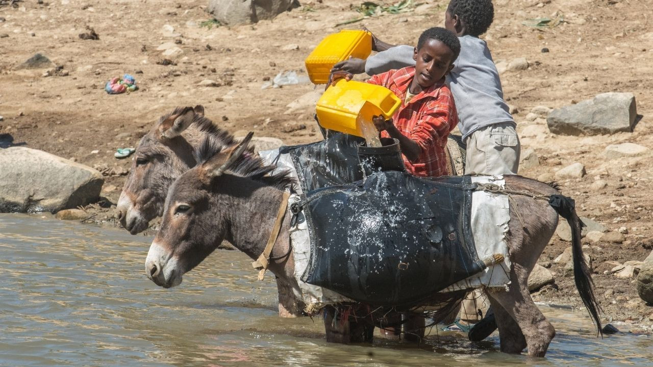 Doğu Afrika'nın kuzeyinde renkli  insanlarıyla: Eritre - Sayfa 6