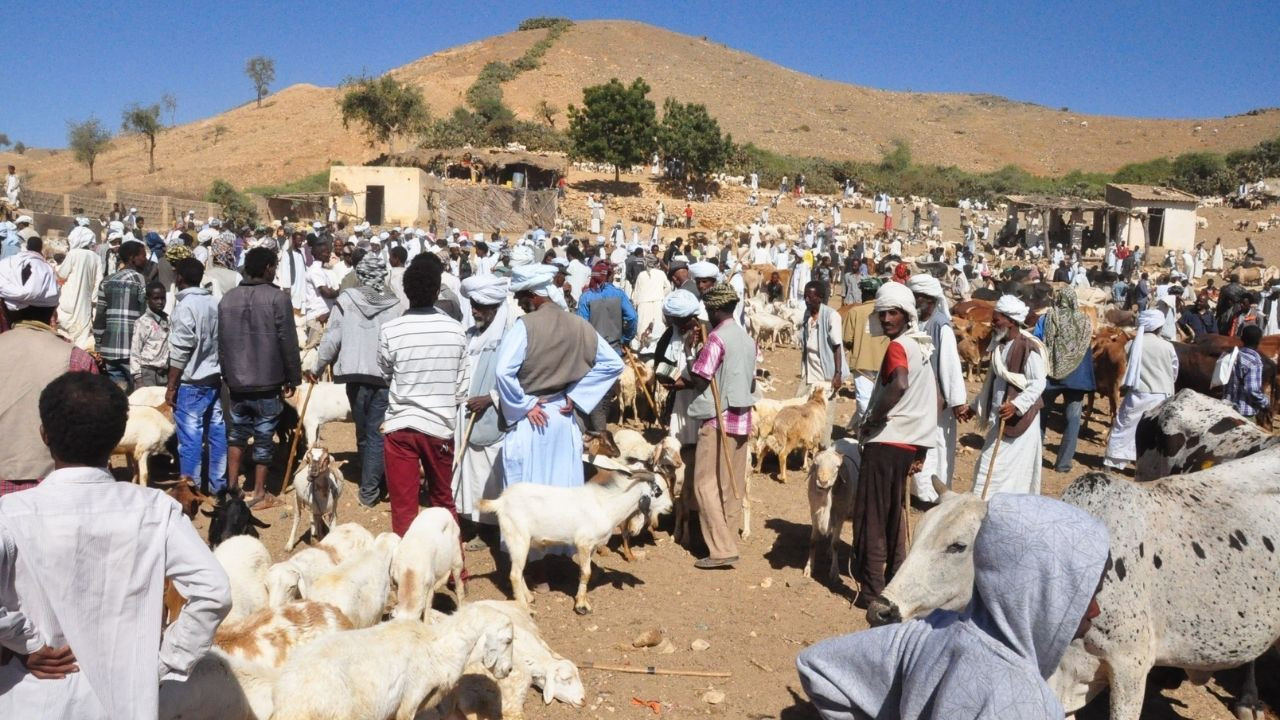 Doğu Afrika'nın kuzeyinde renkli  insanlarıyla: Eritre - Sayfa 7