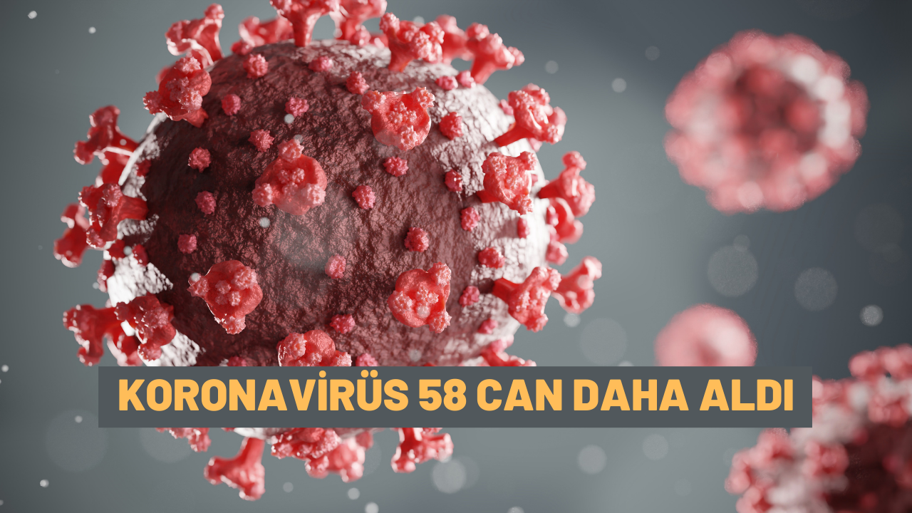Koronavirüs 58 can daha aldı