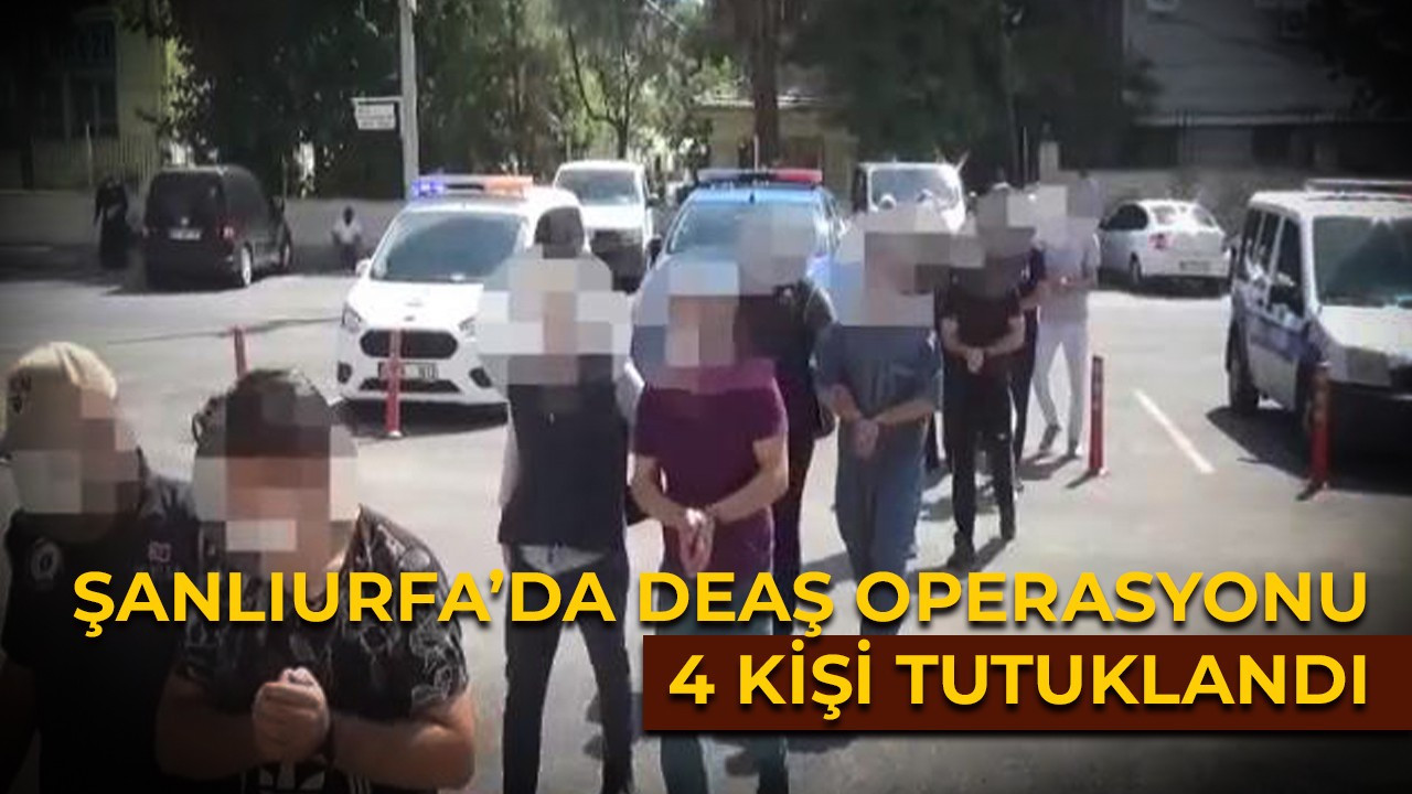 DEAŞ operasyonunda 4 tutuklama