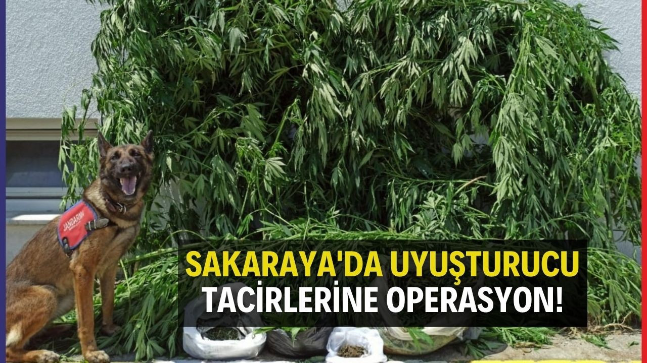 Sakarya'da uyuşturucu tacirlerine operasyon!