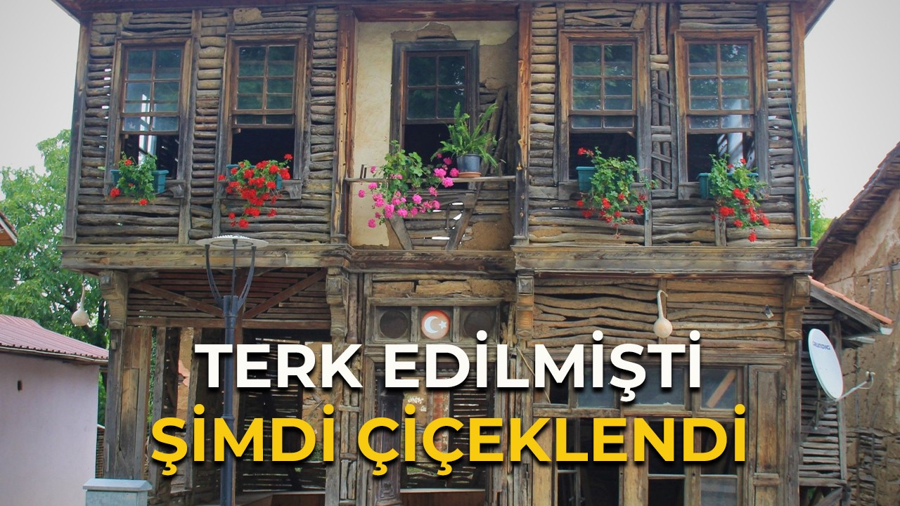 Terk edildi ama şimdi çiçeklendi