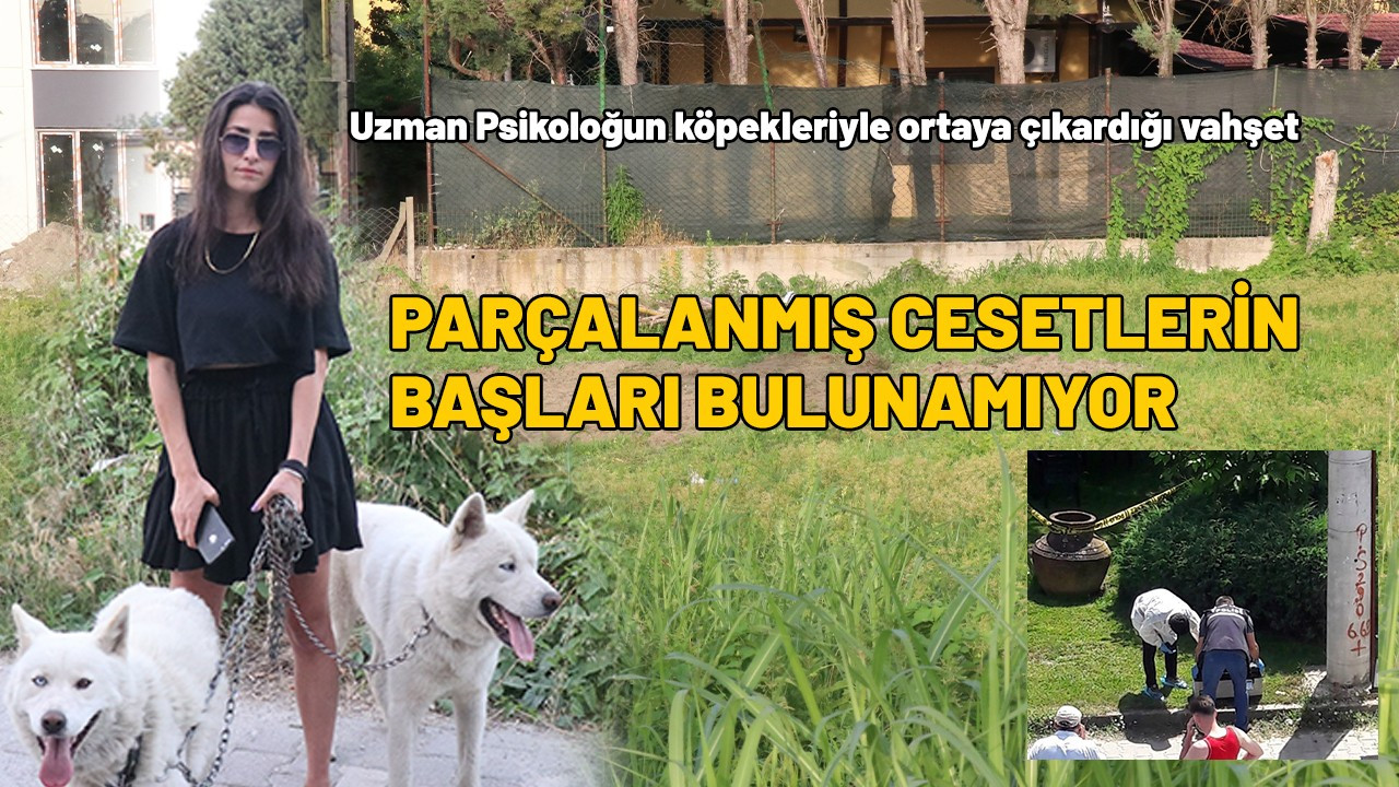 Sapanca'daki vahşette cesetlerin başları bulunamıyor