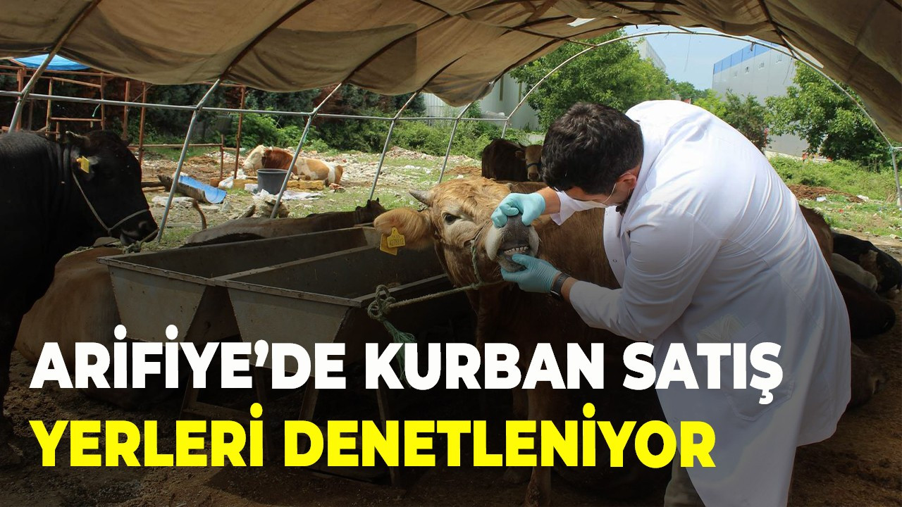 Arifiye’de Kurban Satış Yerleri Denetleniyor