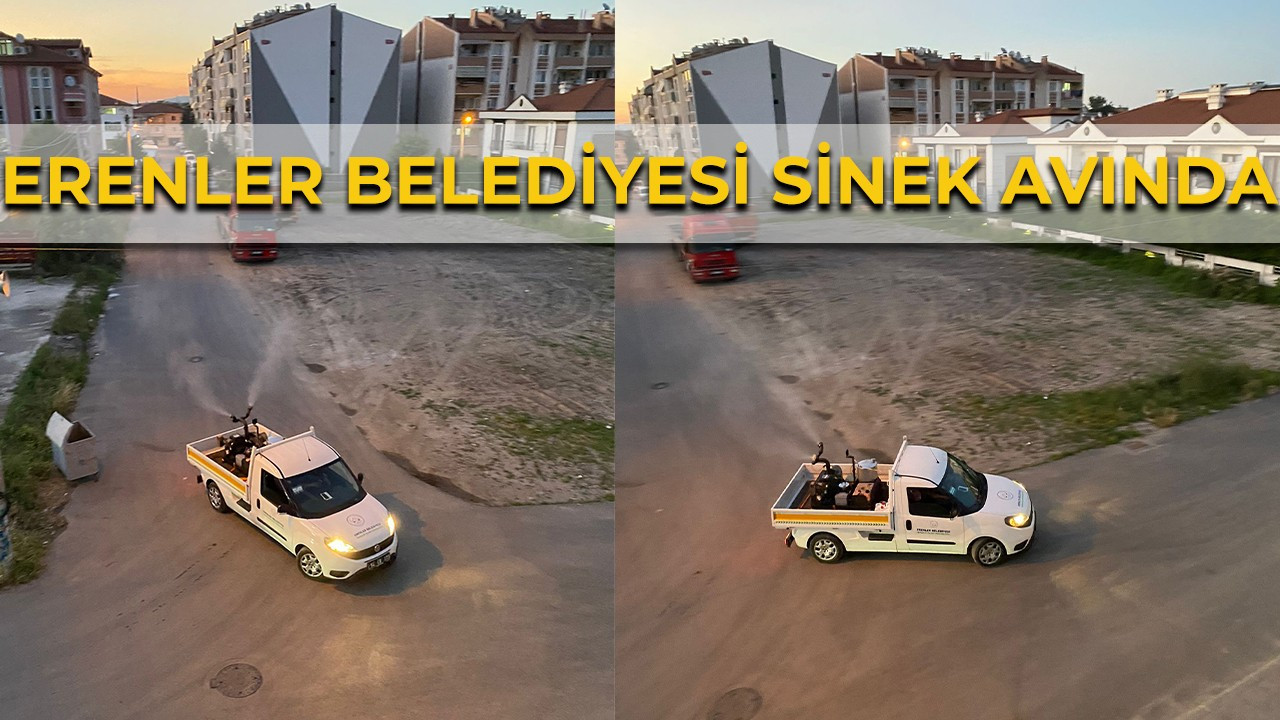 Erenler’de sinek avı!